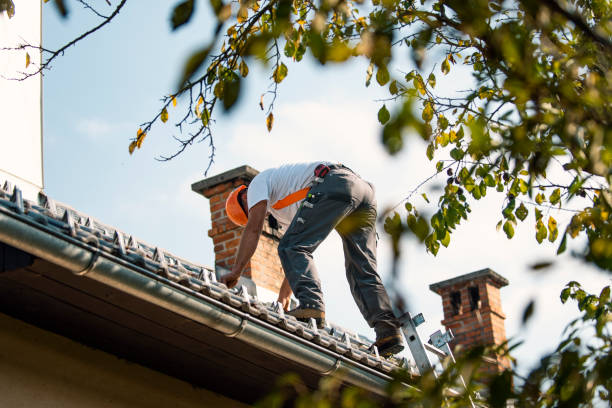 Best Metal Roofing Contractor  in Lake Isabella, MI