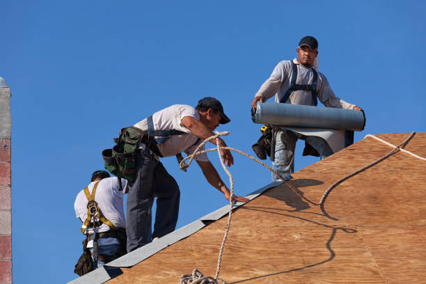 Best Roof Leak Repair  in Lake Isabella, MI