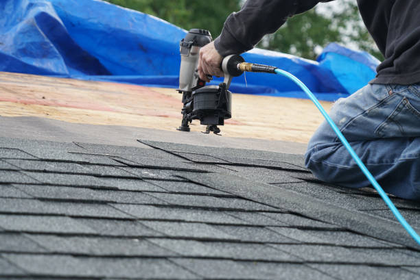 Best Roof Repair Services  in Lake Isabella, MI