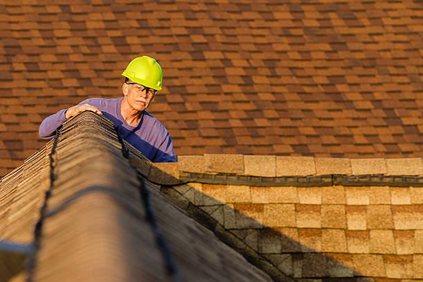 Best Sealant for Roof  in Lake Isabella, MI