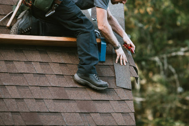 Best Shingle Roofing Installation  in Lake Isabella, MI