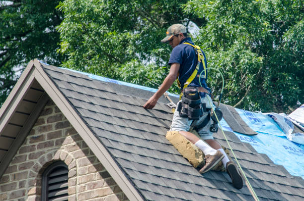 Professional Roofing Contractor in Lake Isabella, MI